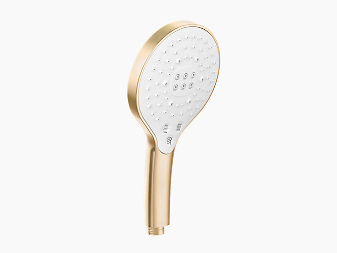 Rainduet 3.0 Handshower Without Hose in French Gold Finish