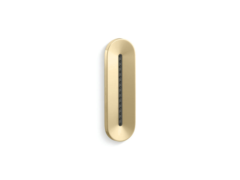 Statement Oblong Vichy Body Shower In French gold Finish