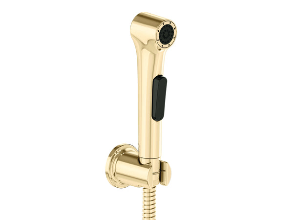 Elate Health Faucet With Hose & Bracket In French Gold Finish