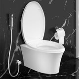 Veil Wall hung toilet in White