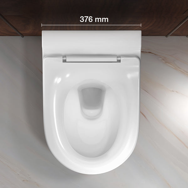 Brazn Wall hung toilet in White