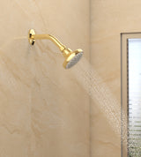 Kohler Complementary® Single Spray Shower In French Gold Finish