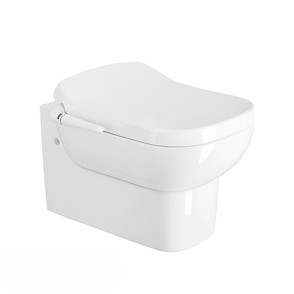 Replay Wall Hang Toilet Without Toilet Seat Cover In White