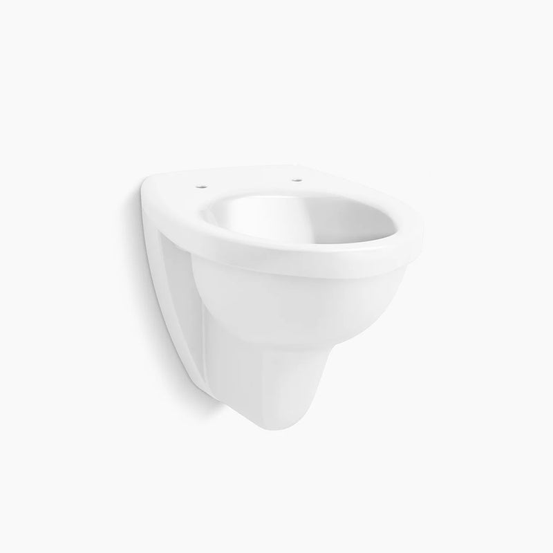 Patio Wall Hung Toilet Without Toilet Seat Cover In White