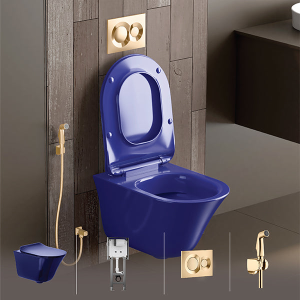 Vive Toilet combo with Deco health faucet